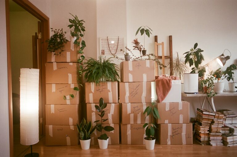 Cardboard moving boxes and houseplants grouped in a room.