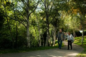 Two older adults walking along a tree-lined park path.