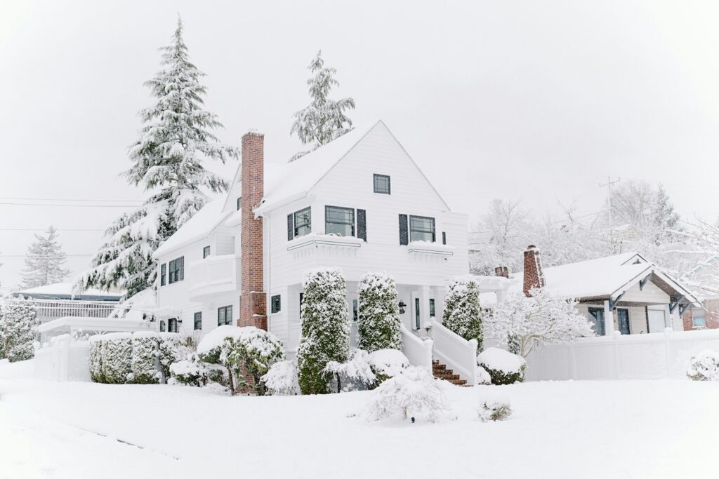 White house and evergreen trees covered in snow.