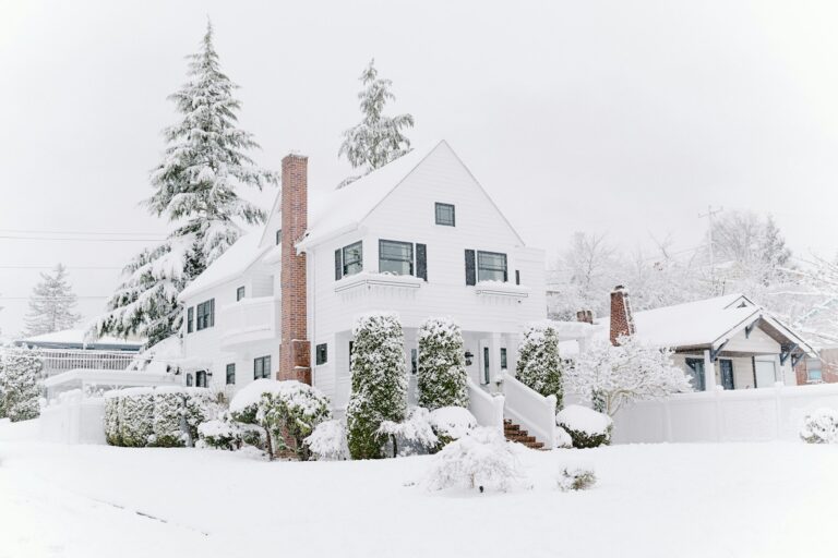 White house and evergreen trees covered in snow.
