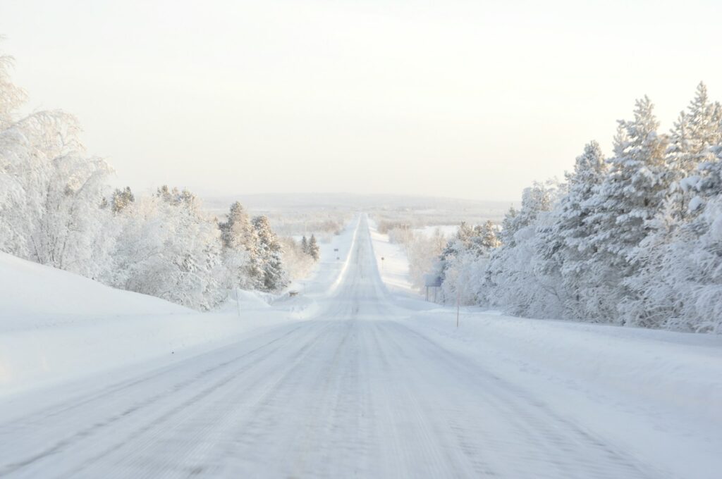 Snow-covered road running between frost-covered trees.