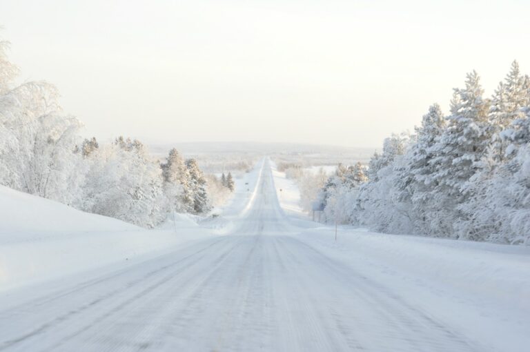 Snow-covered road running between frost-covered trees.